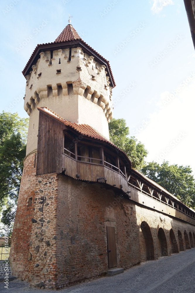 The Carpenters' Tower (Turnul Dulgherilor), Sibiu, Transylvania, Romania
