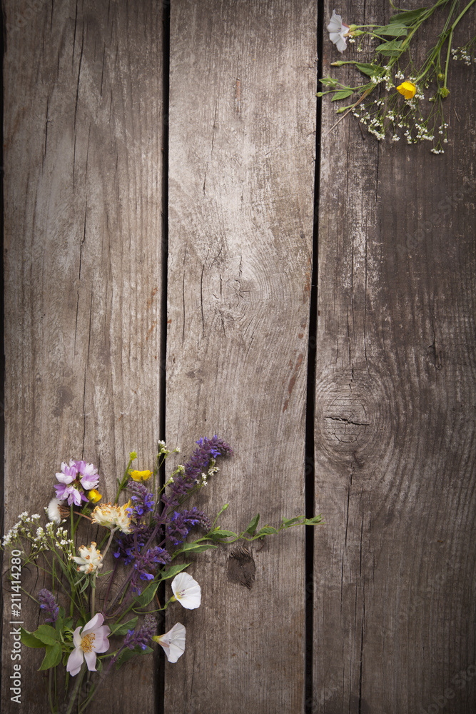 Wild flowers on old grunge wooden background (chamomile lupine dandelions thyme mint bells rape)