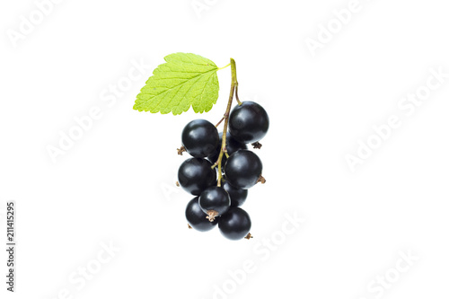 Branch of fresh black currant with green leaf, juicy black currant berries, isolated on the white background