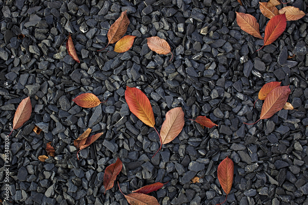 Black pebbles and autumn leafs scenery Black pebbles and autumn leafs scenery
