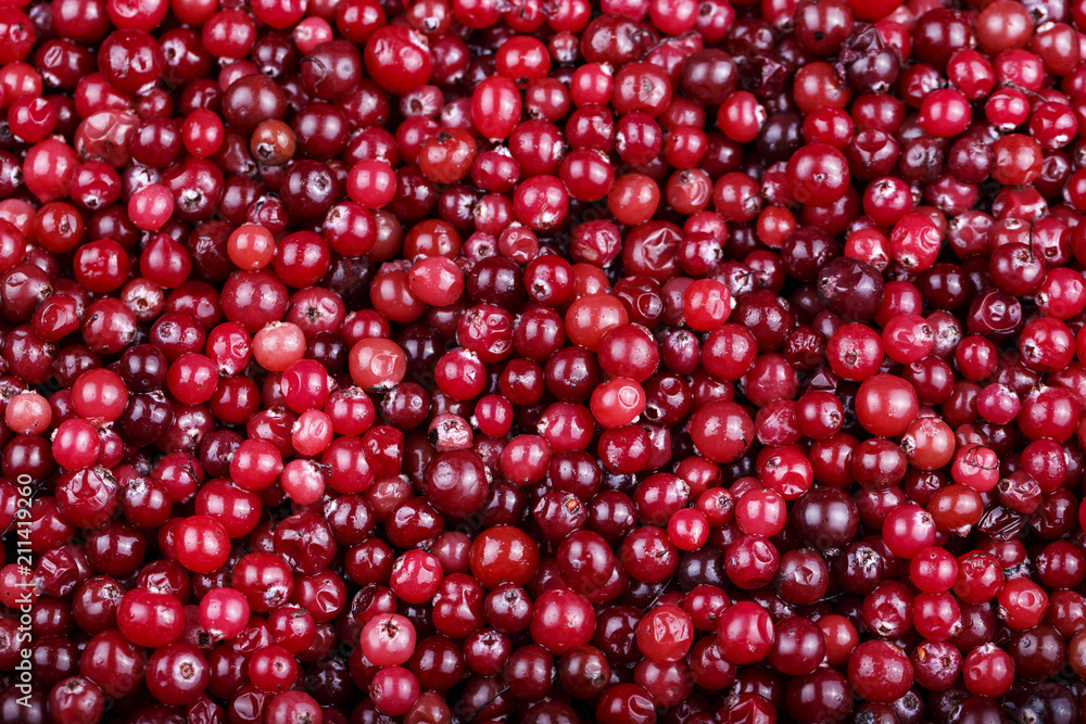 cranberry as a background cranberry as a background