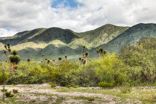 Landscape of mountains in Mexico photo