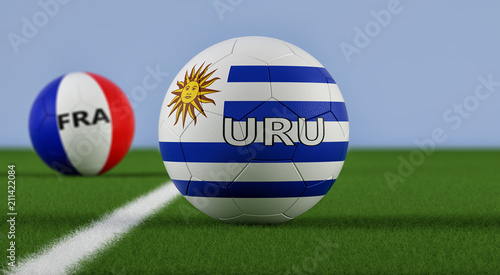 Uruguay vs. France Soccer Match - 3D Rendering