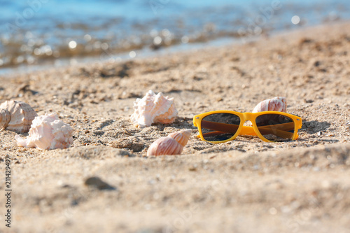 Sunglasses and shells on sand near sea. Beach object