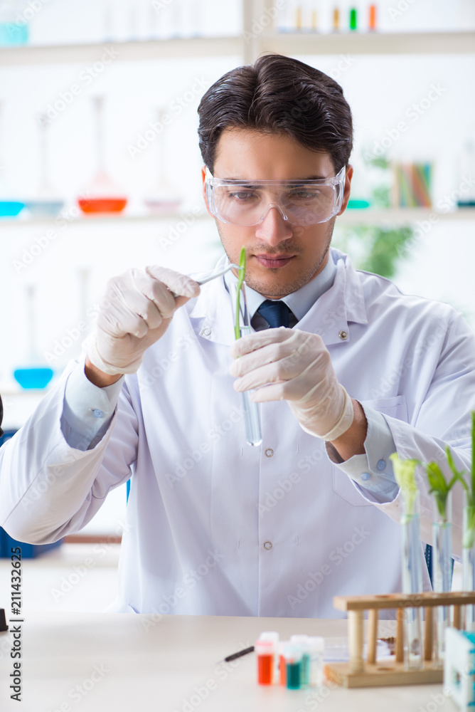 Male biochemist working in the lab on plants Male biochemist working in the lab on plants