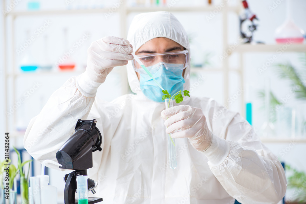 Male biochemist working in the lab on plants Male biochemist working in the lab on plants