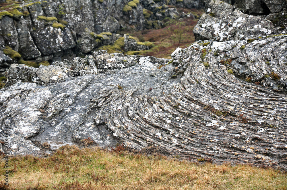 beautiful nature of Iceland, volcanic landscape covered with moss beautiful nature of Iceland, volcanic landscape covered with moss