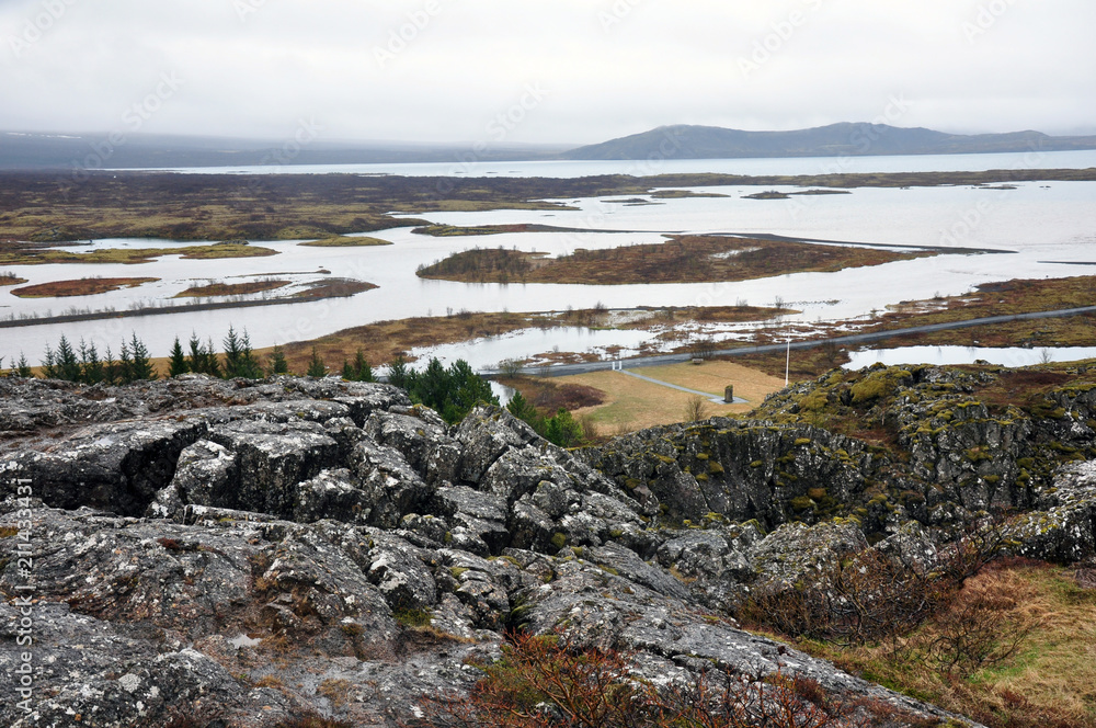 beautiful nature of Iceland, volcanic landscape covered with moss beautiful nature of Iceland, volcanic landscape covered with moss