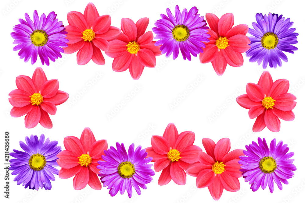 Natural floral background. Bright and colorful autumn flowers.