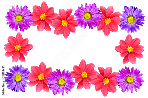 Natural floral background. Bright and colorful autumn flowers.