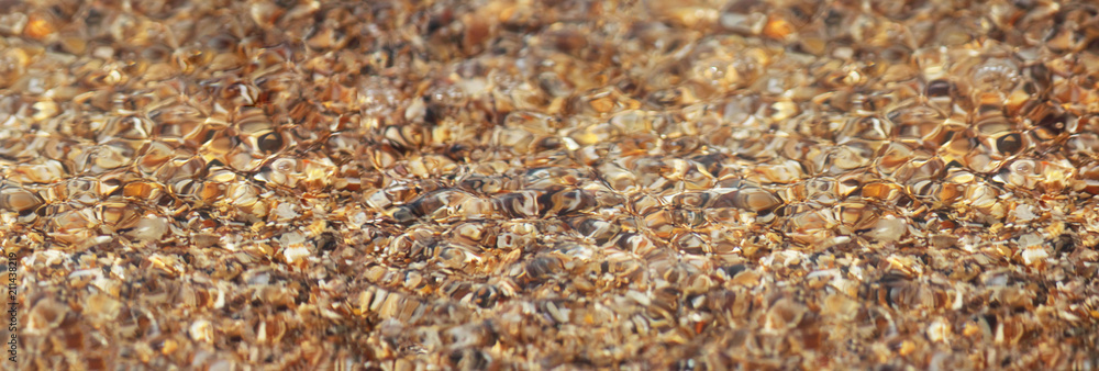 Marine background. Broken and whole shells in the water on the beach. Banner. Abstract background. Selective focus. Close-up, side view, copy space. Marine background. Broken and whole shells in the water on the beach. Banner. Abstract background. Selective focus. Close-up, side view, copy space.