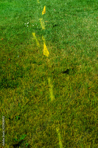 Underground gas utility yellow marking and flag