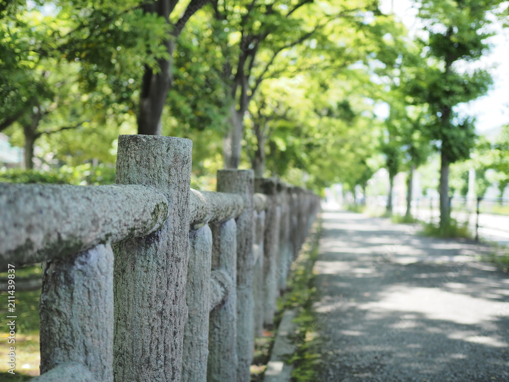 Naklejka premium 木に似せた手すりがある道