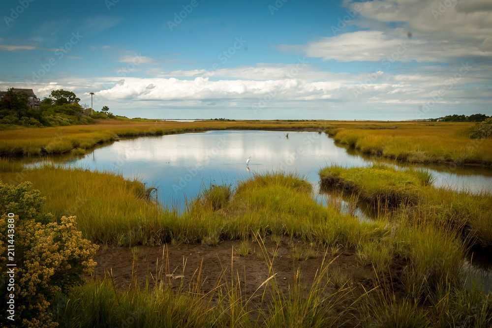 Calm wetlands near Nantucket harbor