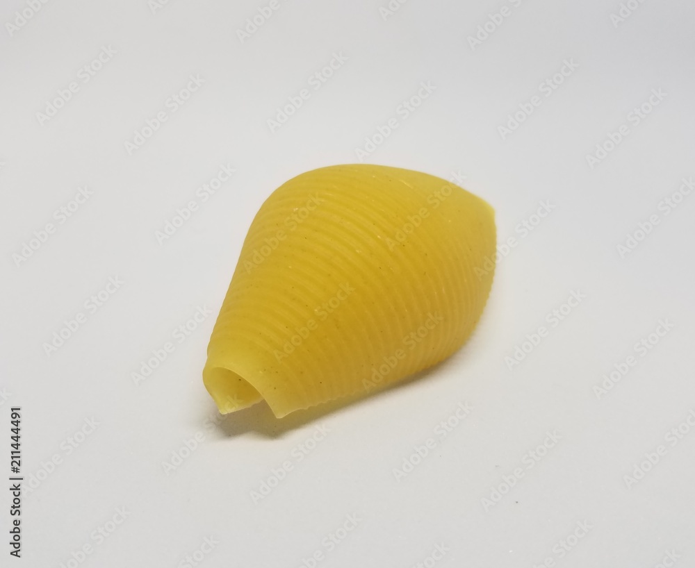 pasta shell on a white background
