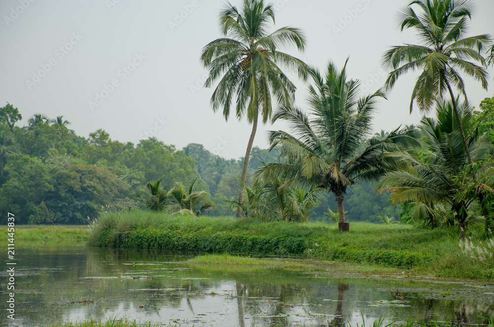 Beautiful tropical landscape with the river in India