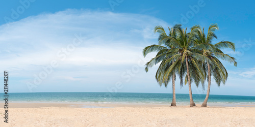 Fototapeta Naklejka Na Ścianę i Meble -  Coconut palms on the beach