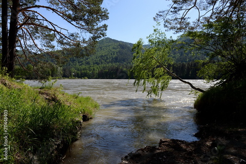 Mountain river Katun in the south of Western Siberia