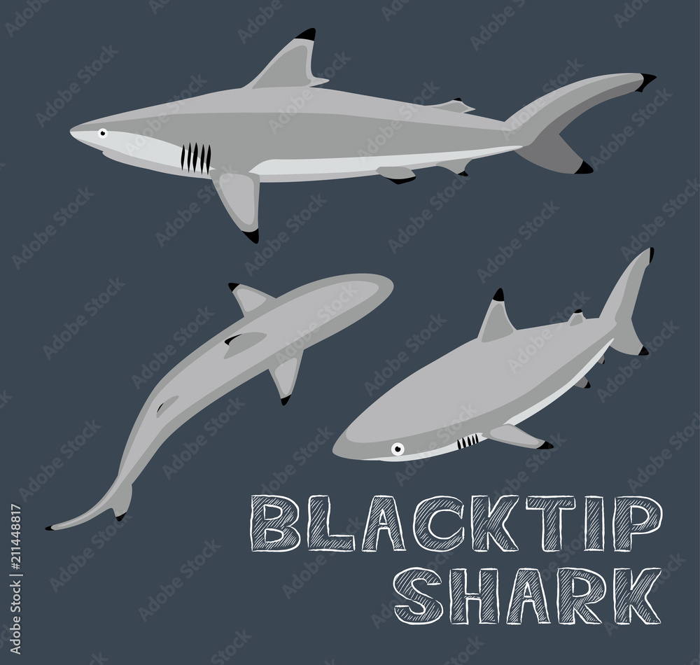 Obraz premium Blacktip Shark Cartoon Vector Illustration