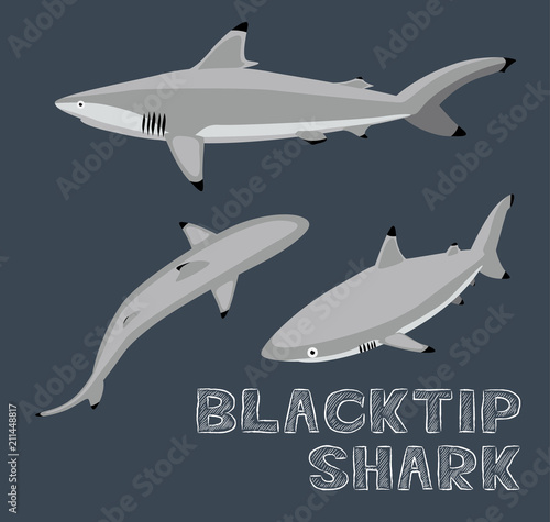 Blacktip Shark Cartoon Vector Illustration