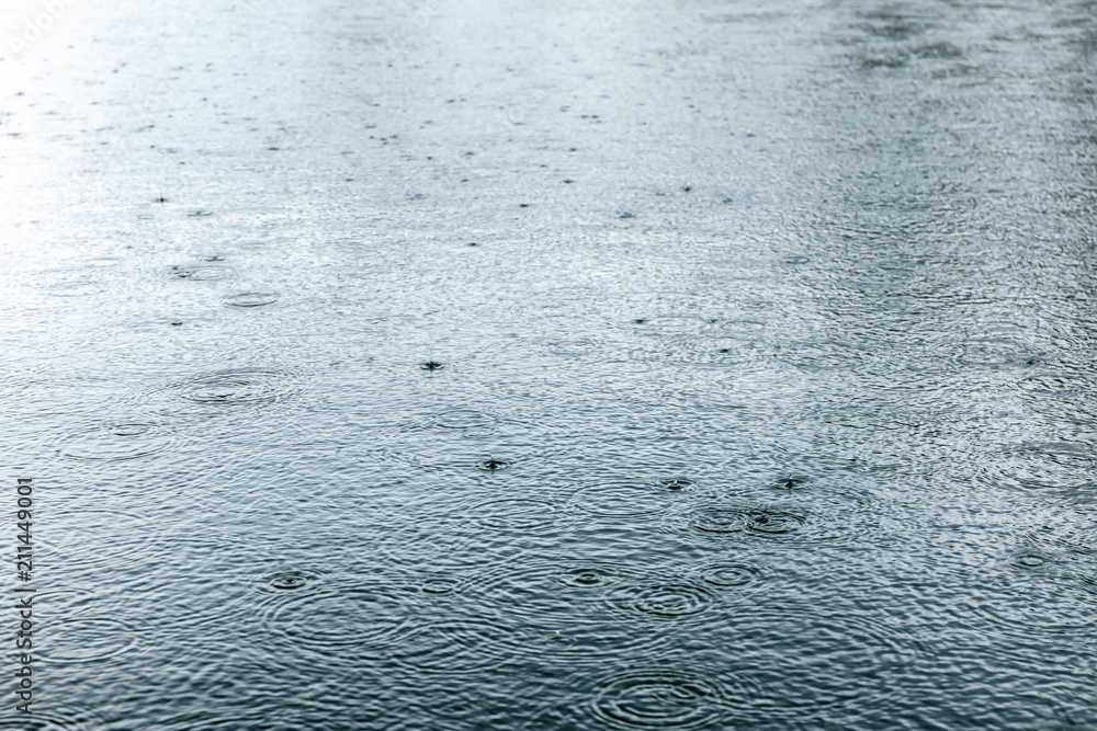 raindrops rippling in a lake surface with trees reflections raindrops rippling in a lake surface with trees reflections