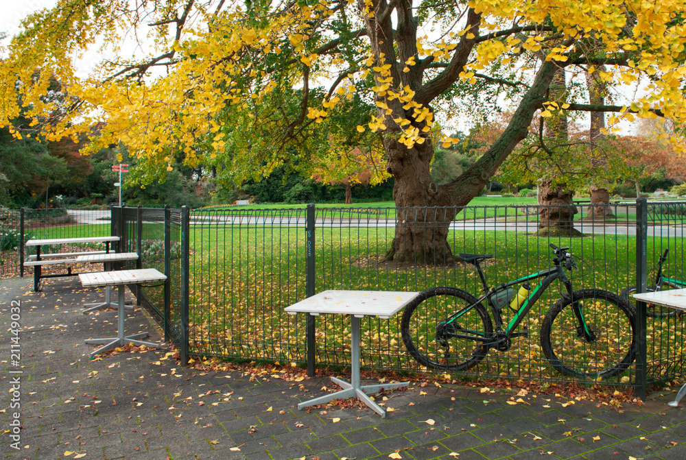 Bicycle in the park in autumn colors
