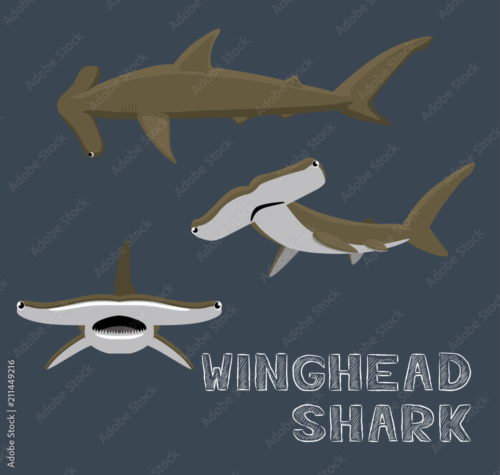Winghead Shark Cartoon Vector Illustration - obrazy, fototapety, plakaty 