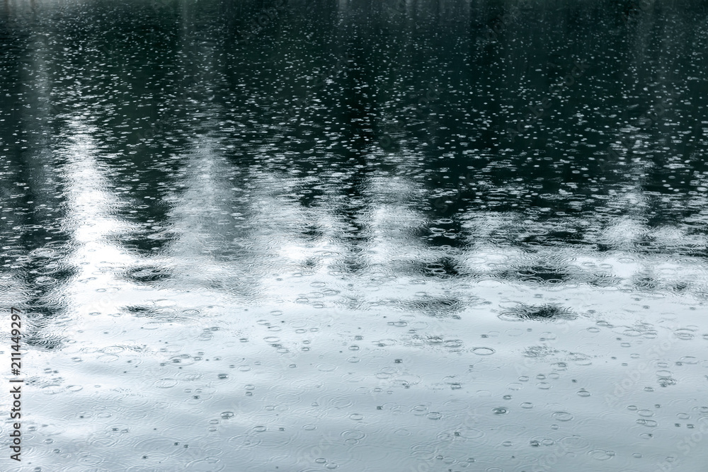 Fototapeta premium trees reflections in water. raindrops rippling on lake surface during rain