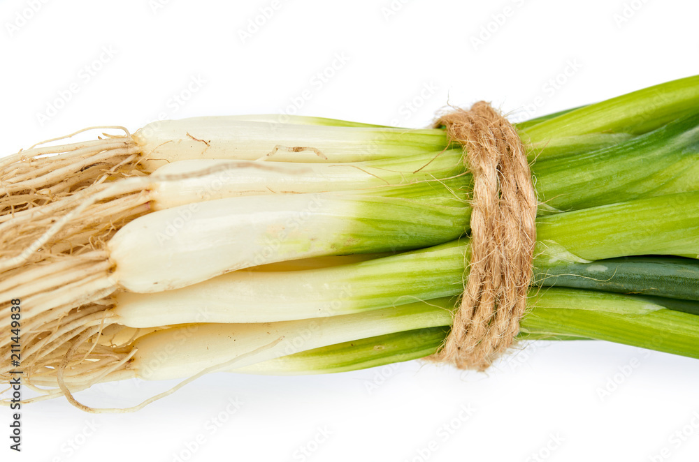 Fresh green organic onion isolated on the white background Fresh green organic onion isolated on the white background