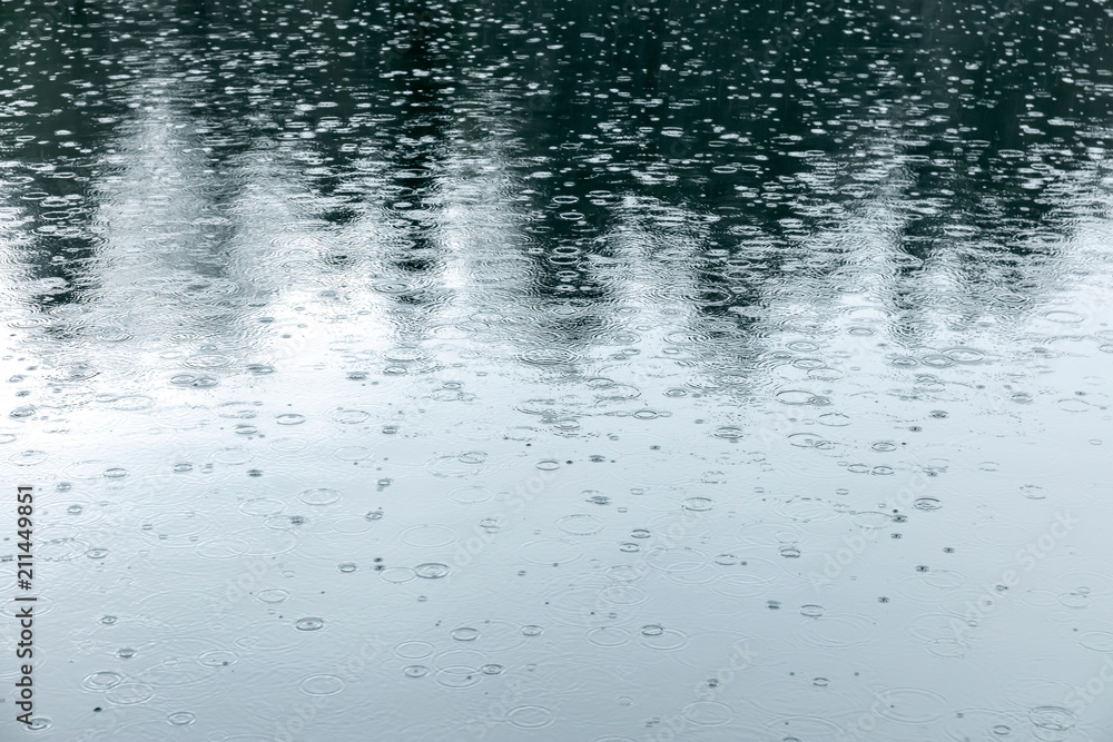 trees reflecting in water pond with raindrops and ripples during bad weather trees reflecting in water pond with raindrops and ripples during bad weather