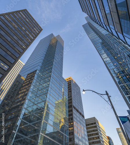 Skyscrapers and high - rise buildings in the Financial District of Downtown Toronto  from below