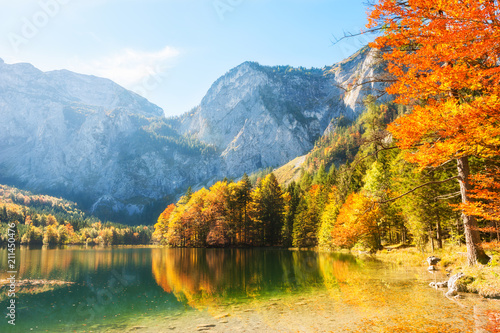 Colorful autumn trees on the shore of Hinterer Langbathsee lake in Alps mountains, Austria.