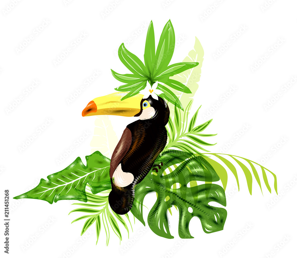 Fototapeta premium Тropical plants with tukan.
