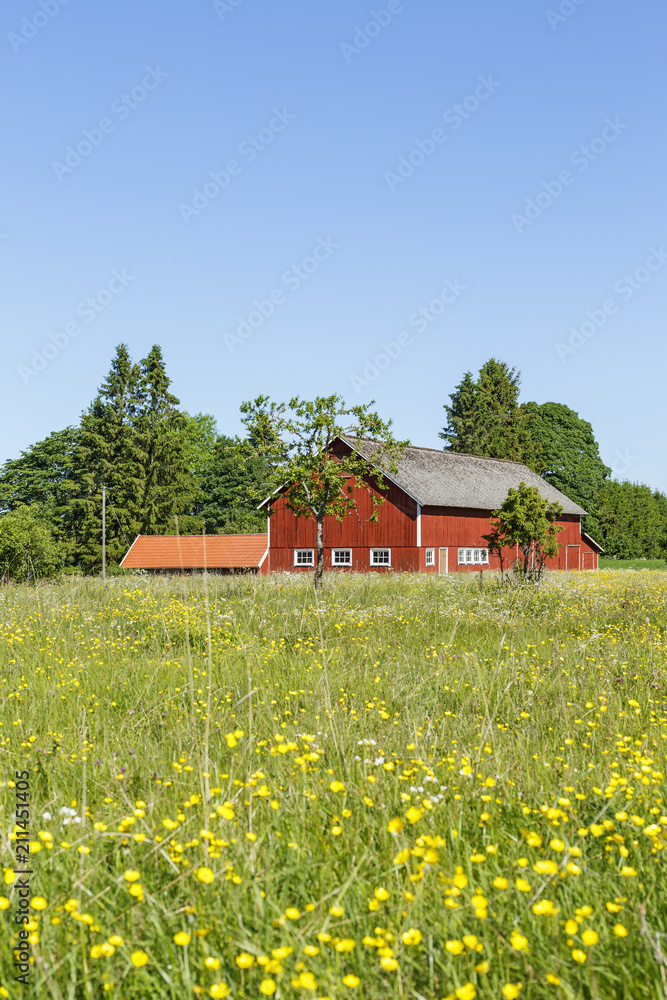 Barn with a flowering meadow in the summer