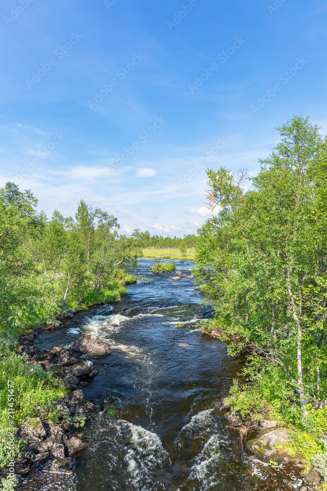 Flowing river in a birch forest in wilderness Flowing river in a birch forest in wilderness