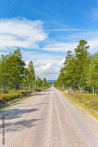 Gravel road in a forest in the north with a long straight line © Lars Johansson