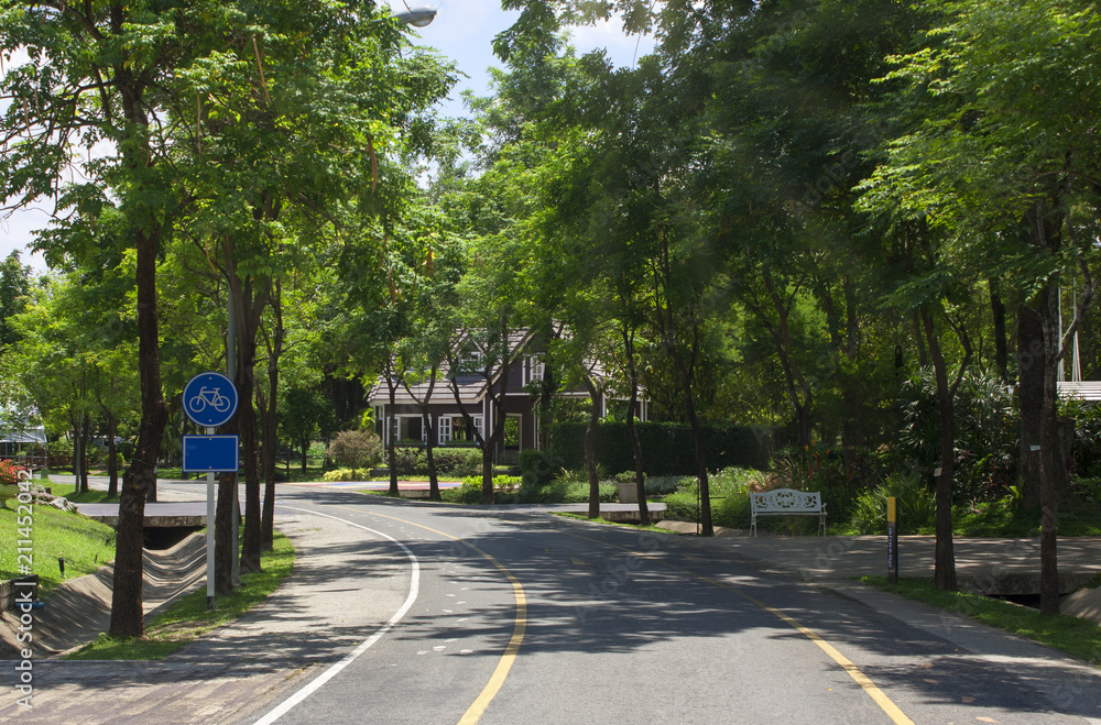 Road in the park background