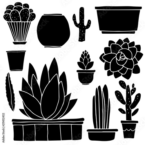 Cacti, houseplants, flowerpots, boxes
