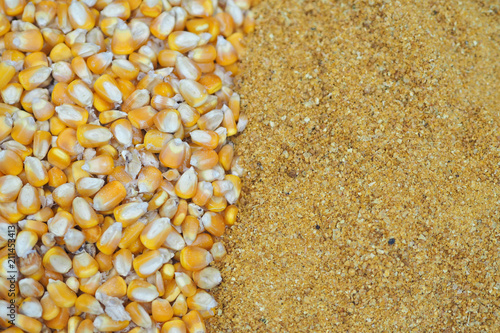 Yellow gold Corn Distiller's dried grains with solubles (DDGS) and corn grains are the nutrient rich co-product of dry -milled ethanol .The biofuel plants are a growing source