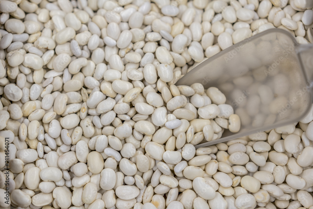 White beans. background. Beans White beans. background. Beans