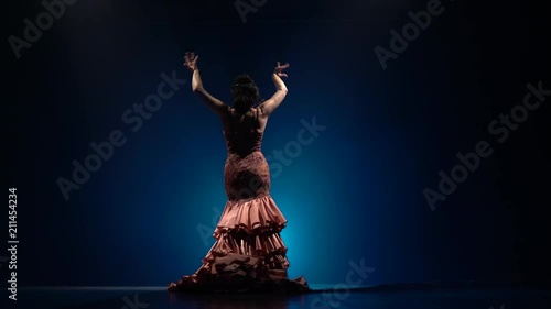 Girl dancing flamenco . Light from behind. Smoke blue background