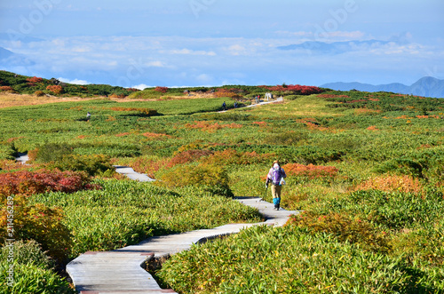 Way of Murododaira in Hakusan