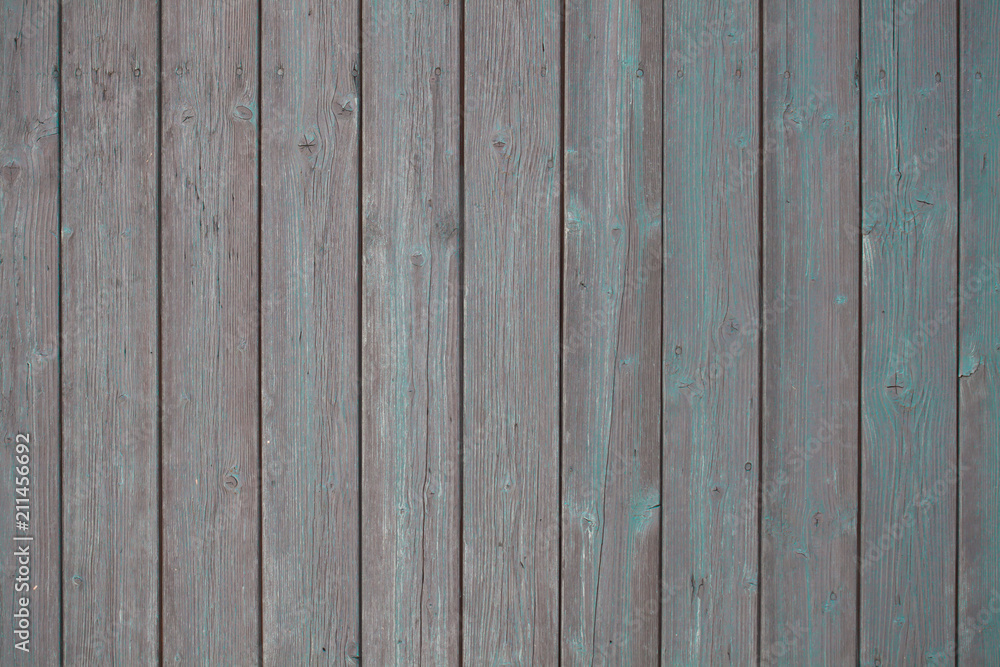 Obraz premium Wooden boards for Your text. Wood background from old boards with light blue color. Peeling paint on wooden planks. Knots on a wooden surface made of natural material. Selective focus.
