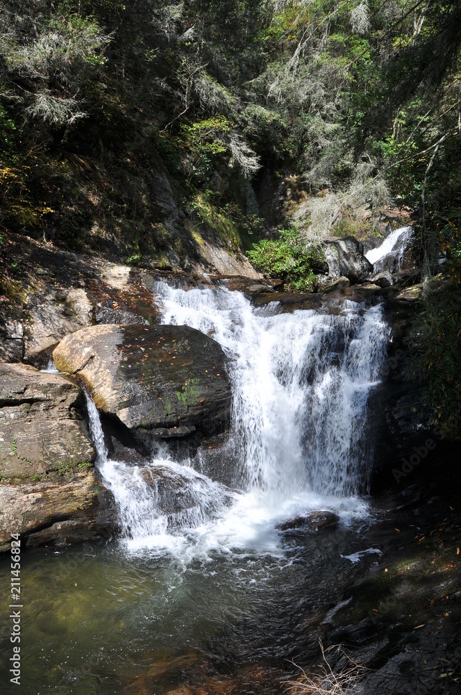 Fototapeta premium helen