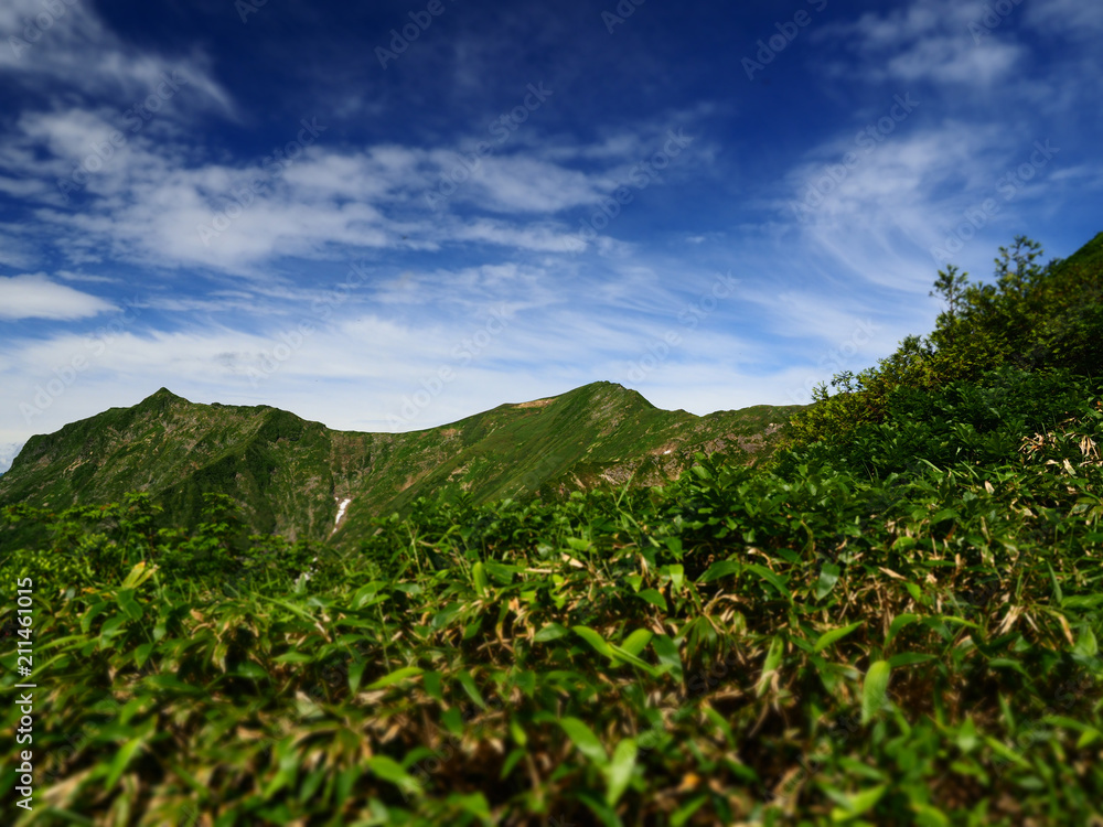 夏山登山 夏山登山