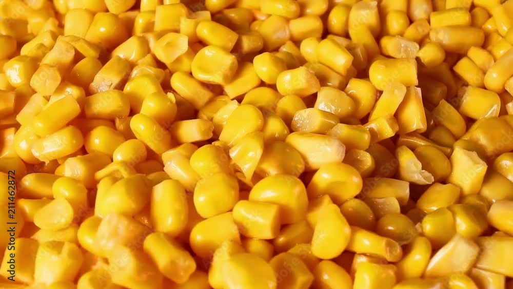 Yellow corns. Corn grains rotating pattern macro texture background backdrop footage video. Yellow corns. Corn grains rotating pattern macro texture background backdrop footage video.
