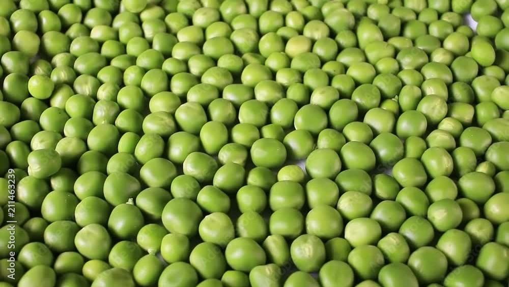 Green peas. Pea grains rotating pattern macro texture background backdrop footage video. Green peas. Pea grains rotating pattern macro texture background backdrop footage video.