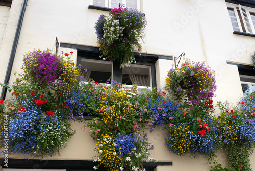 houses in the Padstow village in Cornwall photo