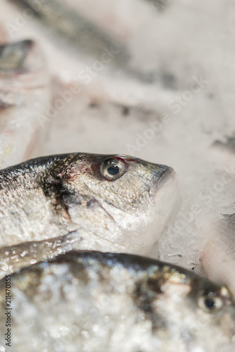 fresh chilled sea fish on ice. Fresh fish from the sea to the market displayed on a thick bed of fresh ice that is not melting to retain its natural flavor and its natural appearance. Vertical photo