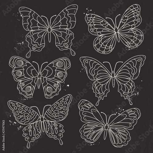 Vector, white silhouette, set various decorative butterflies